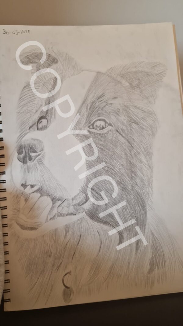 Hond